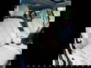 Car Images