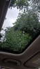 Car Images