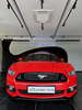 Car Images